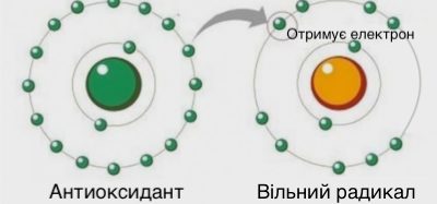 Молекула водню