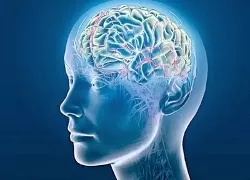 Картинка МОЗГ